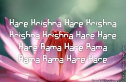 Hare Krishna Maha Mantra 276