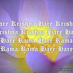 Hare Krishna Maha Mantra 278