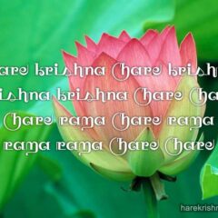 Hare Krishna Maha Mantra 279