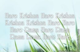Hare Krishna Maha Mantra 285