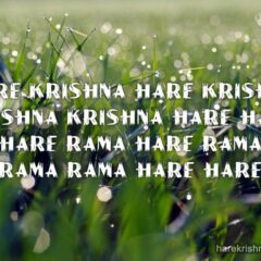 Hare Krishna Maha Mantra 287