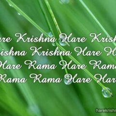 Hare Krishna Maha Mantra 289