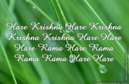 Hare Krishna Maha Mantra 289