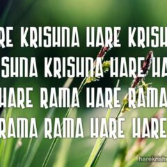 Hare Krishna Maha Mantra 290