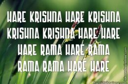 Hare Krishna Maha Mantra 290