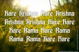 Hare Krishna Maha Mantra 291