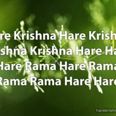 Hare Krishna Maha Mantra 292