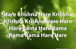 Hare Krishna Maha Mantra 292