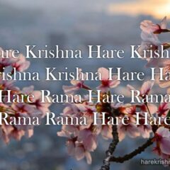 Hare Krishna Maha Mantra in Spanish 016