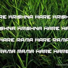 Hare Krishna Maha Mantra 294