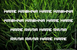 Hare Krishna Maha Mantra 294
