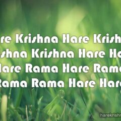 Hare Krishna Maha Mantra 295