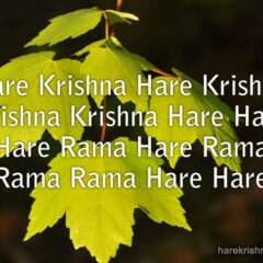 Hare Krishna Maha Mantra 296