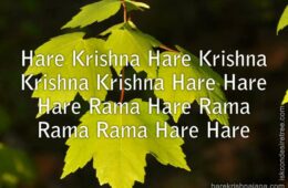 Hare Krishna Maha Mantra 296