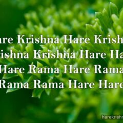 Hare Krishna Maha Mantra 297