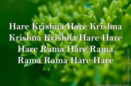 Hare Krishna Maha Mantra 297