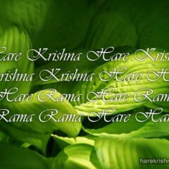 Hare Krishna Maha Mantra 298