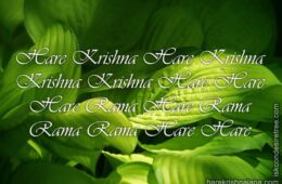 Hare Krishna Maha Mantra 298