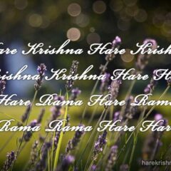 Hare Krishna Maha Mantra 302