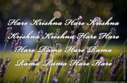 Hare Krishna Maha Mantra 302