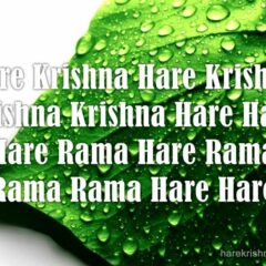 Hare Krishna Maha Mantra 303