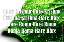 Hare Krishna Maha Mantra 303