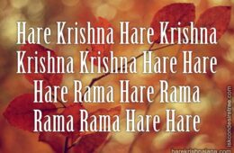 Hare Krishna Maha Mantra 306