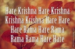 Hare Krishna Maha Mantra 306