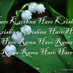 Hare Krishna Maha Mantra 307