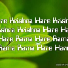 Hare Krishna Maha Mantra 308