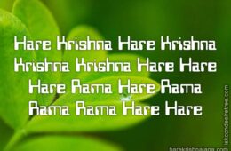 Hare Krishna Maha Mantra 308