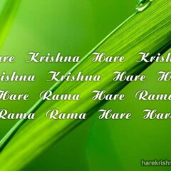 Hare Krishna Maha Mantra 310