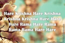 Hare Krishna Maha Mantra 312