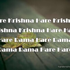 Hare Krishna Maha Mantra 313