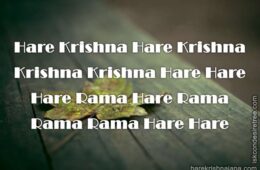 Hare Krishna Maha Mantra 313