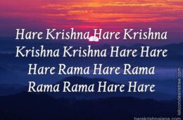 Hare Krishna Maha Mantra 316