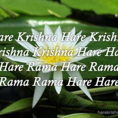 Hare Krishna Maha Mantra 317