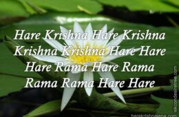 Hare Krishna Maha Mantra 317