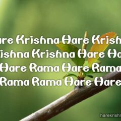 Hare Krishna Maha Mantra 318