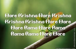 Hare Krishna Maha Mantra in Spanish 008