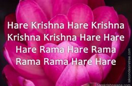 Hare Krishna Maha Mantra 319