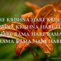 Hare Krishna Maha Mantra in Spanish 006