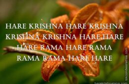 Hare Krishna Maha Mantra in Spanish 006