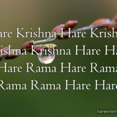 Hare Krishna Maha Mantra 322