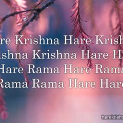 Hare Krishna Maha Mantra 323