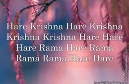 Hare Krishna Maha Mantra 323