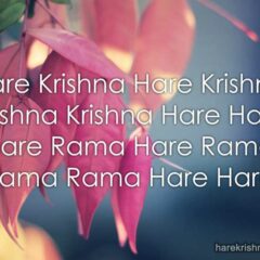 Hare Krishna Maha Mantra 324