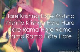 Hare Krishna Maha Mantra 324