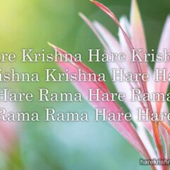 Hare Krishna Maha Mantra 325