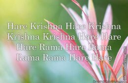 Hare Krishna Maha Mantra 325